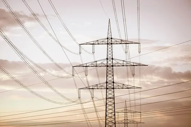 Guide d'achat : meilleur désherbeur électrique